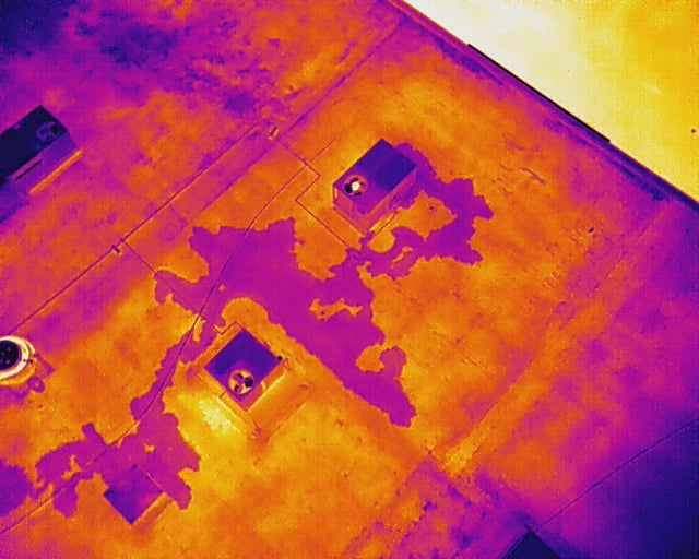 infrared scanning image 5