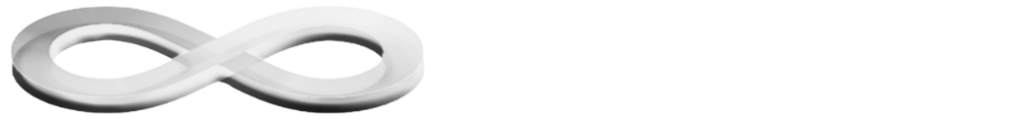 New Silver White logo