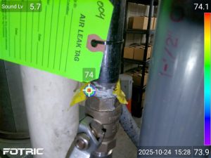 acoustic scanning in a hose